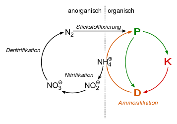 Nitrogen cycle.svg