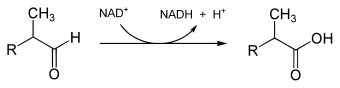 Alpha oxidation part IV.svg