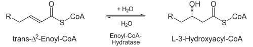 Beta-Oxidation2.svg