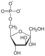Alpha-D-Fructose-6-phosphat.svg