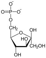 Beta-D-Fructose-6-phosphat.svg