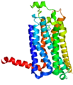 A2A-Adenosinrezeptor