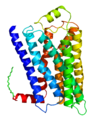 β2-Adrenozeptor