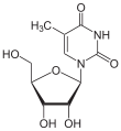 5-Methyluridin