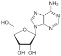 Adenosin