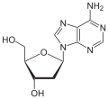 Desoxyadenosin