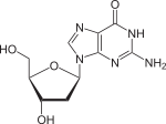 Desoxyguanosin