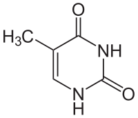 Strukturformel von Thymin