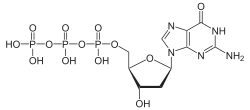 Struktur von Desoxyguanosintriphosphat