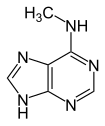 6-methyladenine.svg