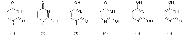 Tautomere Formen von Uracil