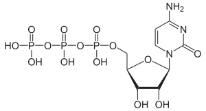 Strukturformel von CTP