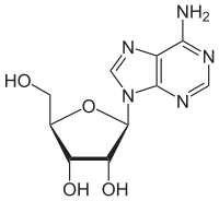 Strukturformel von Adenosin