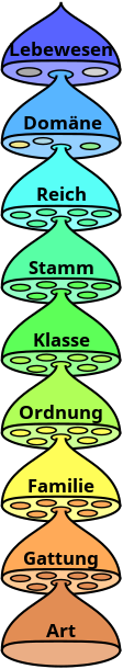 Biological classification de