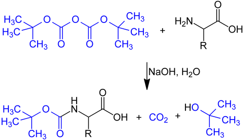 Einführung der BOC-Schutzgruppe bei einer Aminosäure