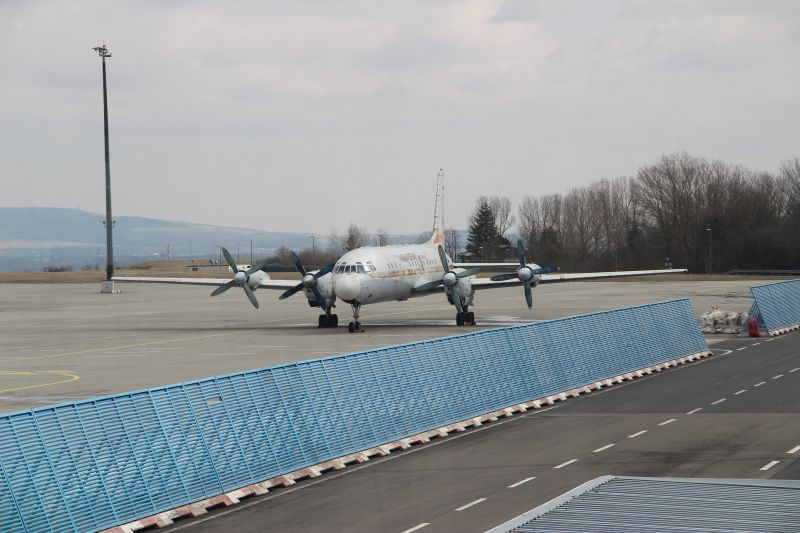 IL-18 DM-SGT