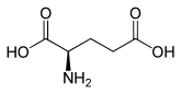 D-Glutamic acid.svg