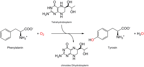 Hydroxylierung von Phenylalanin zu Tyrosin mittels Tetrahydrobiopterin.