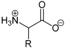 Amino acid betain structure.png