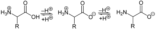 Amino acid titration.png