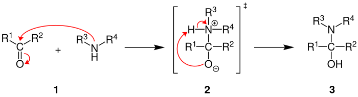 Allgemeiner Reaktionsmechanismus der Halbaminal-Bildung