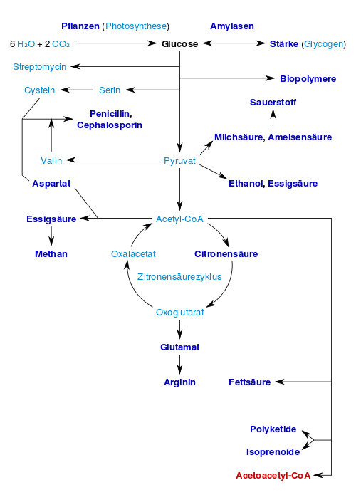 Glucose-Produkte.svg