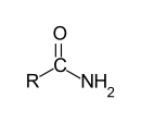 General structure of primary Amides.svg