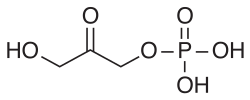 Struktur von Dihydroxyacetonphosphat