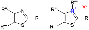 Thiazoles and thiazolium salts