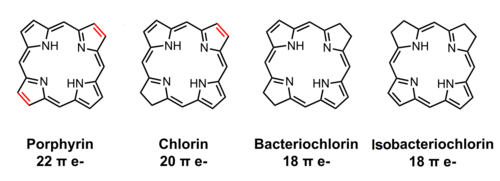 Porphyrin, chlorin, bacteriochlorins.png