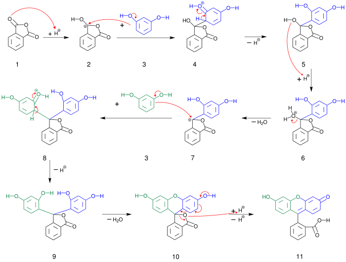 Mechanismus der Fluoresceinsynthese