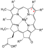 Bacteriochlorophyll.svg