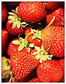 Erdbeeren