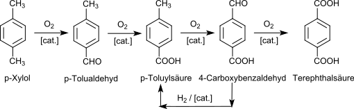 Oxidation von p-Xylol zu TPA