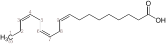 Α-Linolensäure Zählweise vom Omega-Ende V3.svg