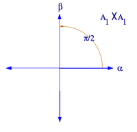 Root system A1×A1