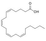 Arachidonic acid.svg