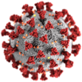 3D-Grafik des SARS-CoV-2-Virions (eingefärbtes Modell)