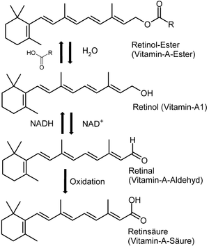 Synthese des Vitamin A