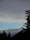 Altocumulus undulatus duplicatus.jpg