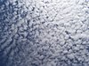 Altocumulus1.jpg