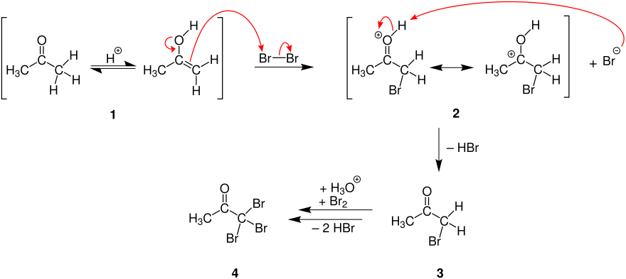 Mechanismus der Halogenierung von Carbonylverbindungen.