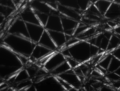 Polarisationsmikroskopie, Kontrast wird durch Rotation polarisierten Lichts in der Probe erzeugt.